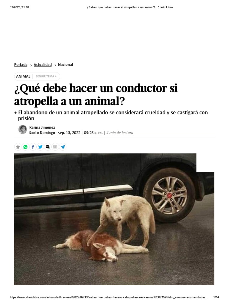 Urgente:  Lo Que Debes Saber Si Atropellas Un Animal Salvaje (Ley De Bienestar Animal). - g5gycd2