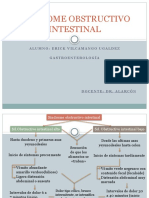 Sindrome Obstructivo Intestinal