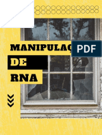 CDD Manipulação RNA