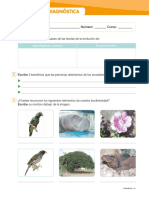 Prueba Diagnóstica Naturales. 6to Primaria