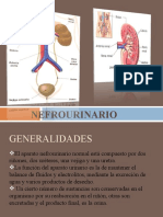 Sistema Renal