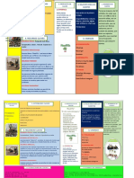 Lean Canvas Validado Planhtis