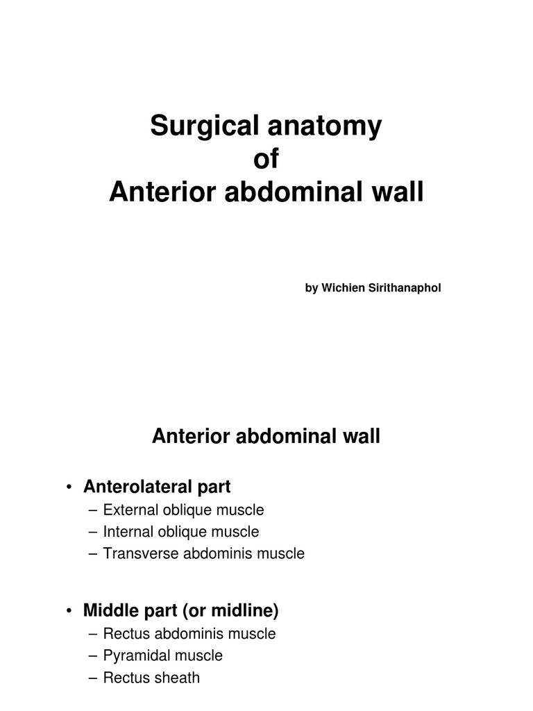 Abdomen Anatomy | Abdomen | Human Anatomy
