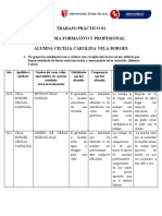 Biograma Formativo y Prefesional - Cecilia Carolina Vela Borges