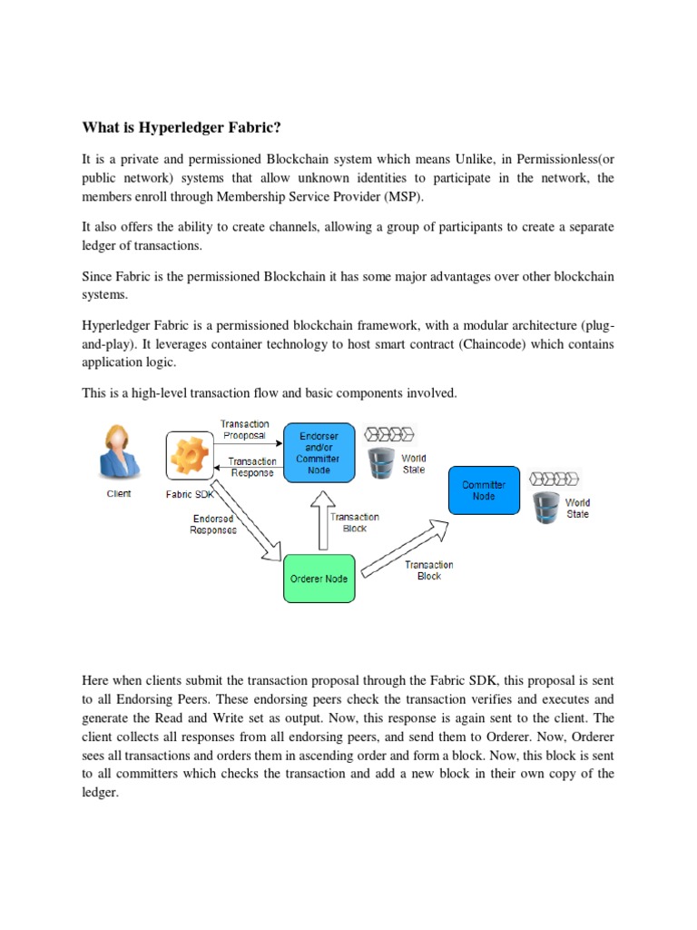 Hyperledger Fabric Architecture Overview | PDF | Cloud Computing ...