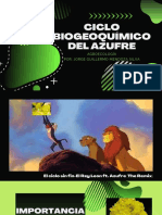 Ciclo Biogeoquímico Del Azufre