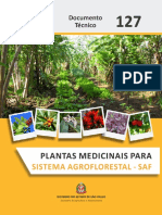 Plantas Medicinais Sistema Agroflorestal 2022