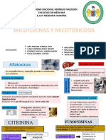 Micotoxinas y Micotoxicosis Final