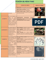 Cuadro Comparativo-Reino Fungi