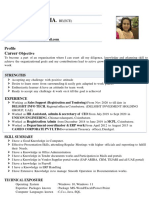 Business Developer Resume Format