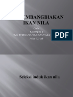 Pengembangbiakan Ikan Nila