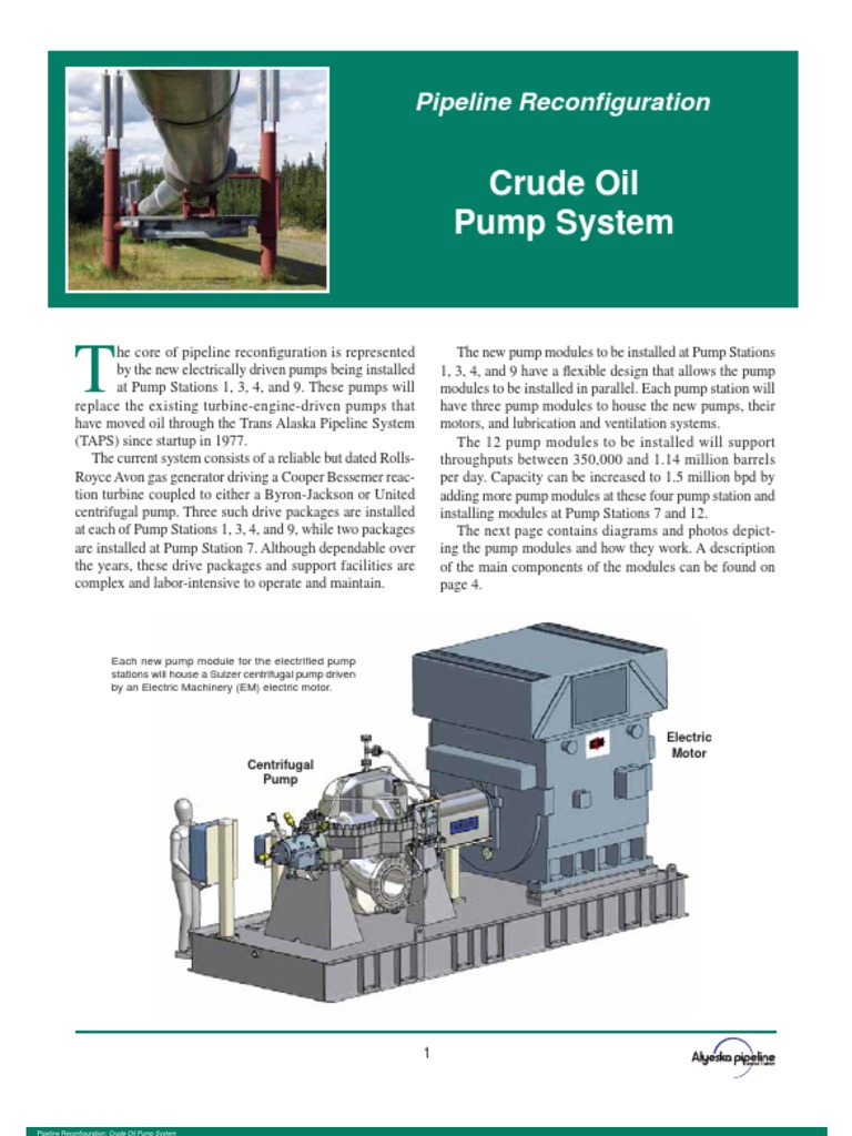 Crude Oil Pump System PDF Electric Motor Pump