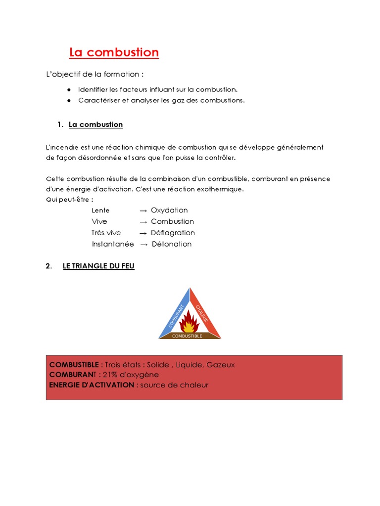 Comprendre la combustion et ses risques | PDF | La combustion | Combustible
