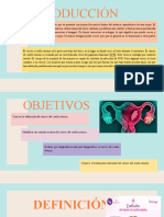 Copia de Language School Newsletter by Slidesgo