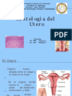 Histologia Del Utero