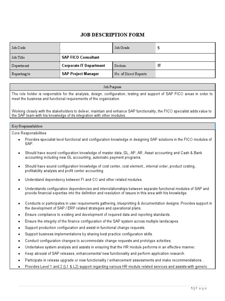 Configuring financial excellence job description for an sap fico