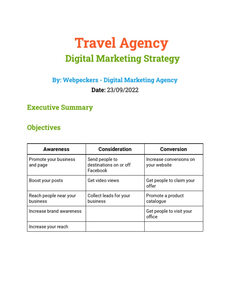Travel Agency Digital Marketing Strategy by peckers PDF