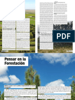 Pensar en La Forestación