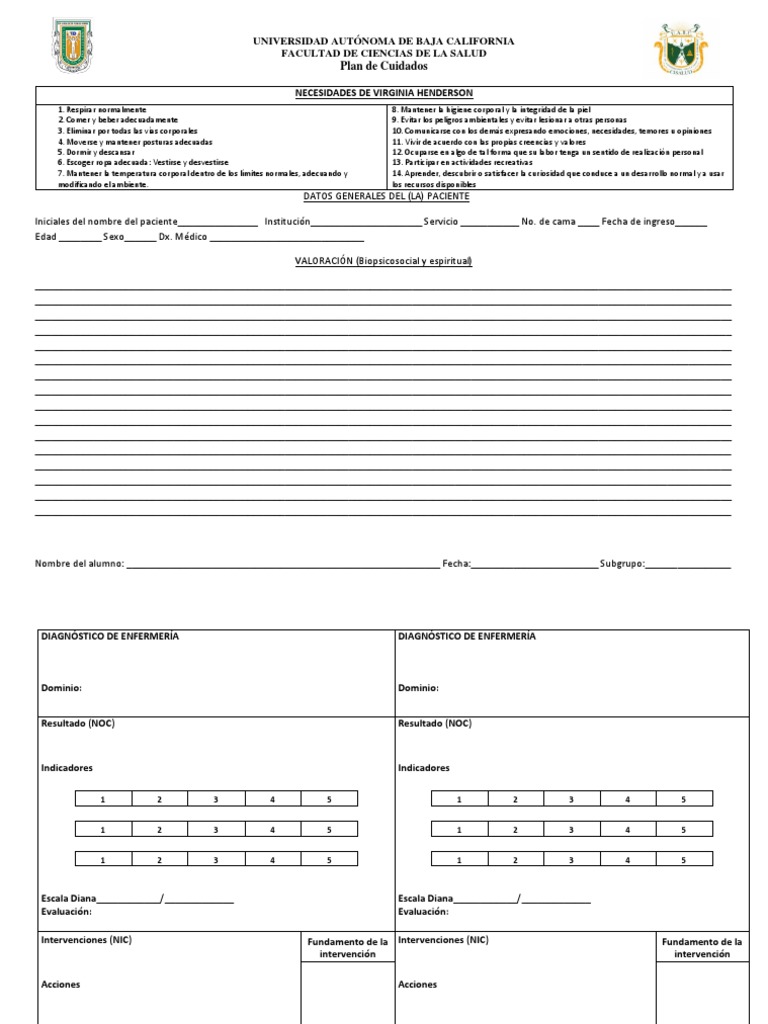 Plan de Cuidados en Enfermería UABC | PDF | Cuidado de la salud ...