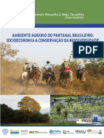 Ambiente Agrário Pantanal: socioeconomia conservação biodiversidade