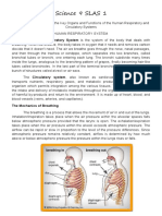 Human respiratory and circulatory systems