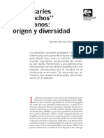 Documento Completo - PDF PDFA