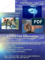 Fish Powerpoint