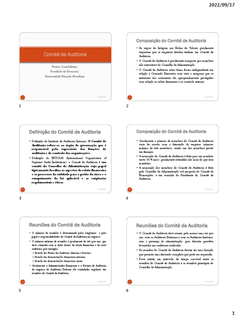 Estrutura e Funções do Comité de Auditoria | PDF | Auditoria interna ...