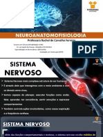 NEUROANATOMOFISIOLOGIA