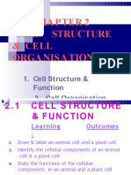 21 1 Cellfunction 120529002534 Phpapp02