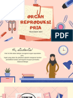 Reproduksi Pria