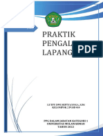 RPP PPL 1