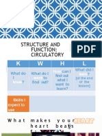 Lesson1structureandfunction Circulatorysystem 140718072518 Phpapp01