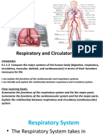 Day 9 - 11 - Human Body Systems - Respiratory and Circulatory Systems
