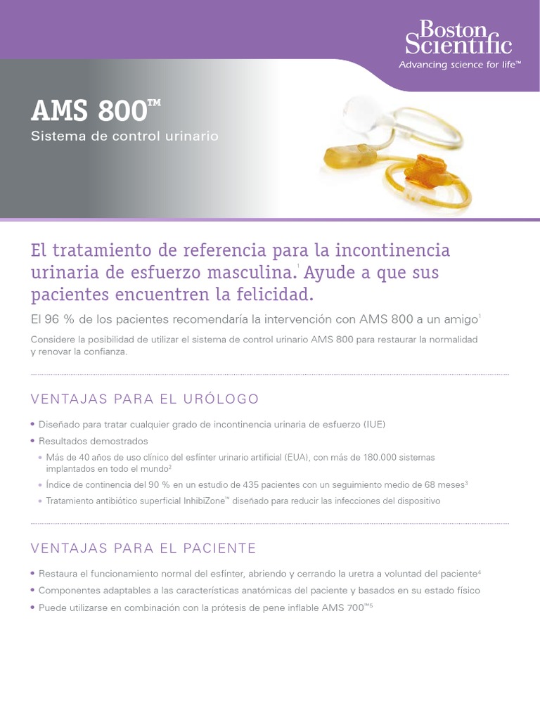 AMS 800 Folleto | PDF | Urología | Anatomía humana