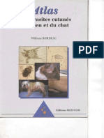 Atlas Des Parasites Cutanes Du Chien Et Du Chat Med Com 2000
