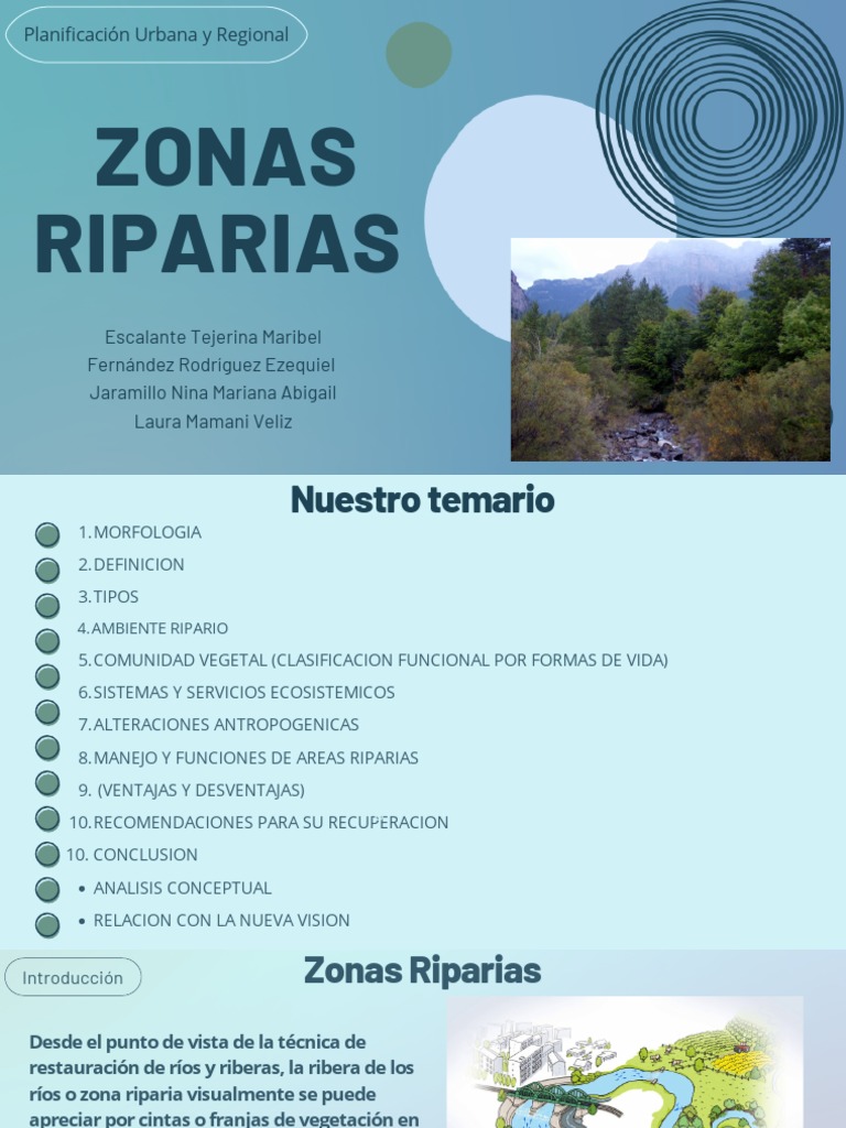 Importancia de las Zonas Riparias | PDF | Zona ribereña | Humedal