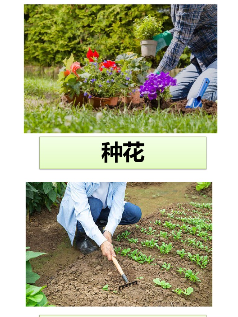 华文 词语 | PDF