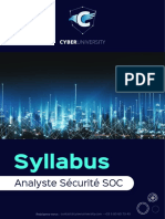 Syllabus Cyber