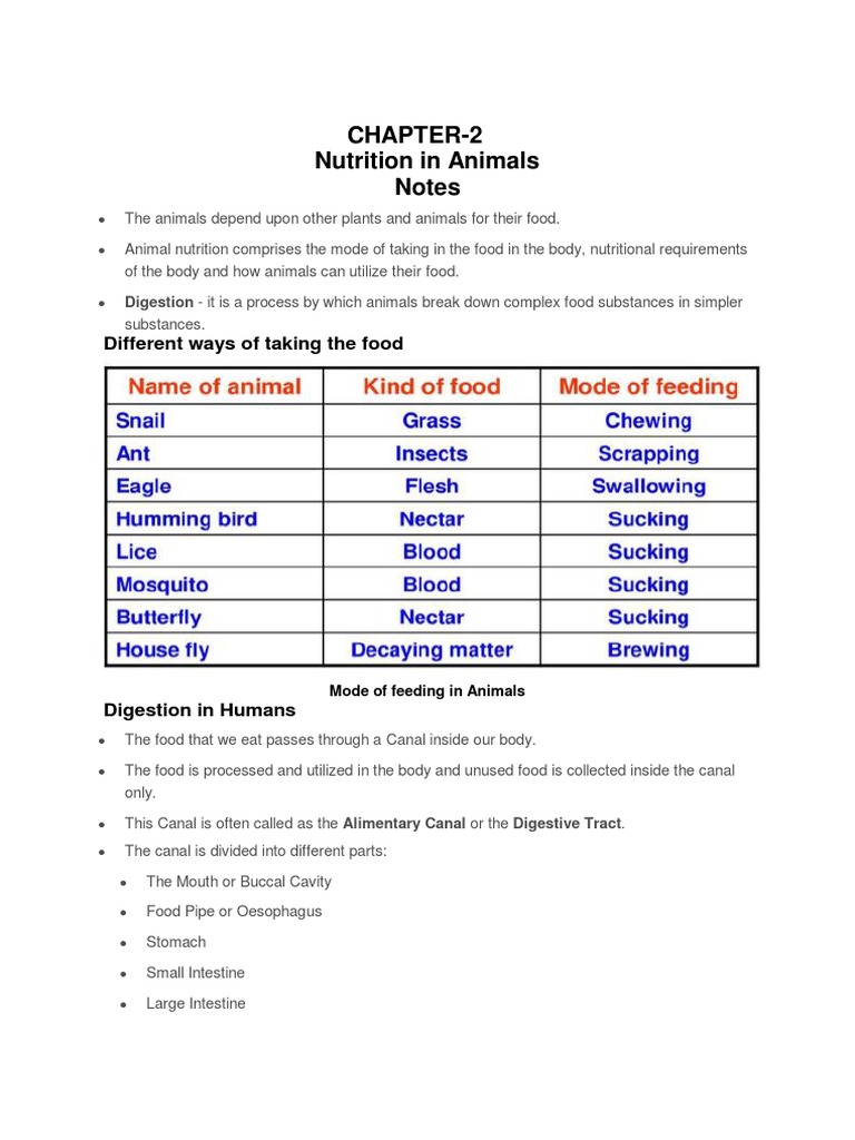 ch-2-nutrition-in-animals-notes-pdf-digestion-small-intestine