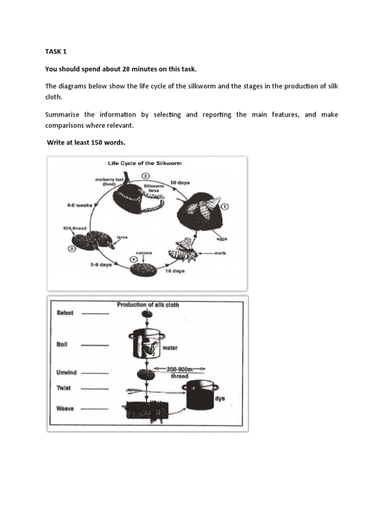 Silkworm Life Cycle and Silk Production | PDF