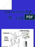 Coloracion Pap