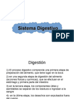 Sistema digestivo: procesos, órganos y tejidos clave