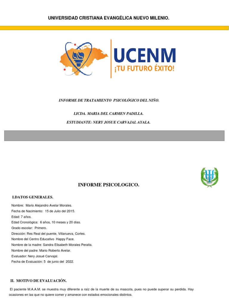 Informe Psicológico Infantil de Mario Avelar | PDF | Las emociones ...