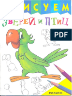 Dibujando Animales y Aves