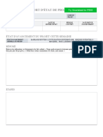 IC Project Status Report 17158 FR