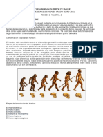 Evolución del hombre