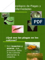 Manejo ecológico plagas enfermedades cultivos