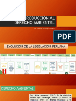 Introducción Al Derecho Ambiental