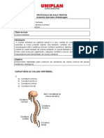 01 ROTEIRO SISTEMA NERVOSO - Anatomia Aplicada A Enfermagem